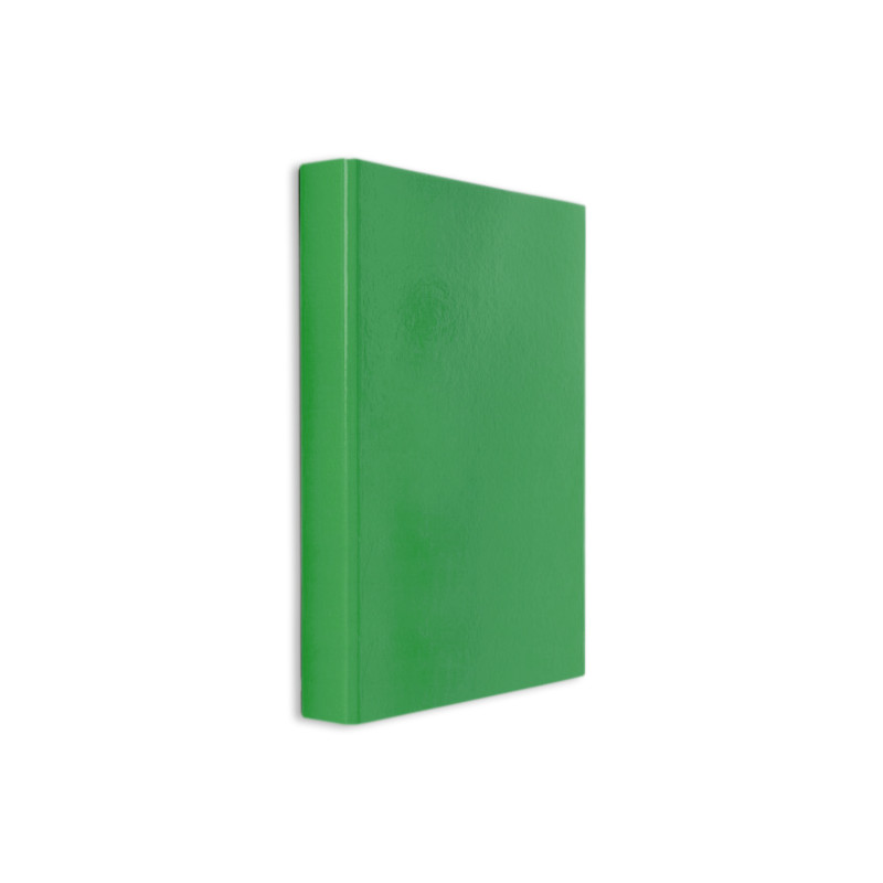 CAIET MECANIC PLASTIFIAT 2 INELE A4 DACO V