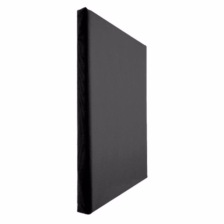 TABLOU PANZA PICTURA NEAGRA 30 x 40 CM